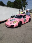 cayman_in_pink_pig_livery__20140501_1002051394.jpg