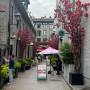 img e0456 img e0456