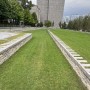 montreal wall10