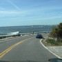 seacoast crop